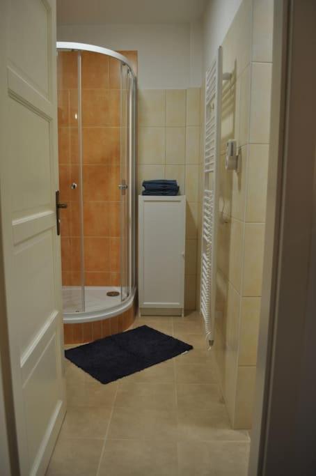 Apartment In Praha 3 Экстерьер фото